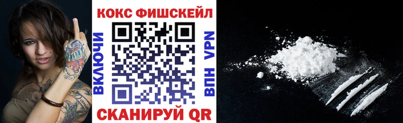 Cocaine Fish Scale  блэк спрут вход  Шенкурск 