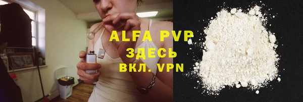 индика Лихославль