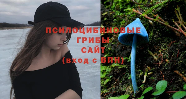Альфа ПВП Липки