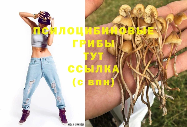 индика Лихославль