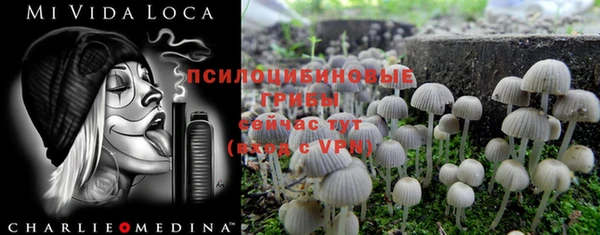 Альфа ПВП Липки