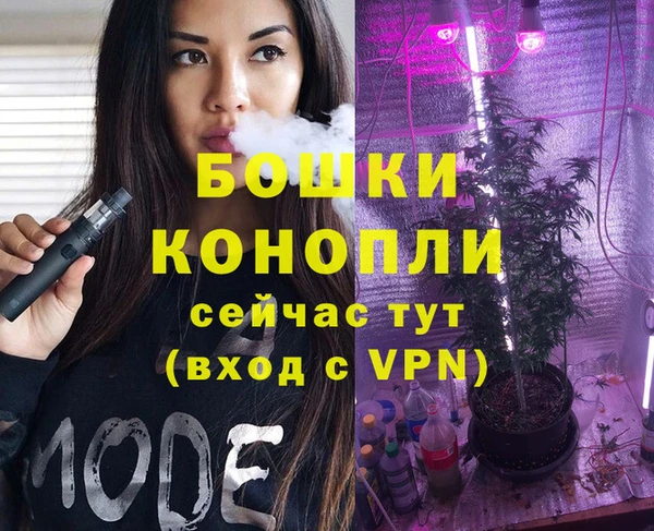 Альфа ПВП Липки