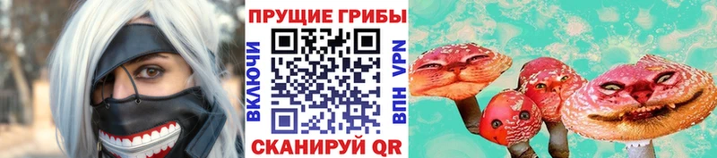 Галлюциногенные грибы ЛСД  где купить   Шенкурск 
