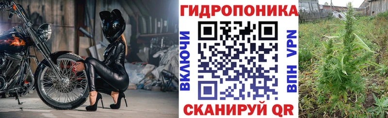 Бошки Шишки AK-47  магазин  наркотиков  блэк спрут как войти  маркетплейс какой сайт  Шенкурск 